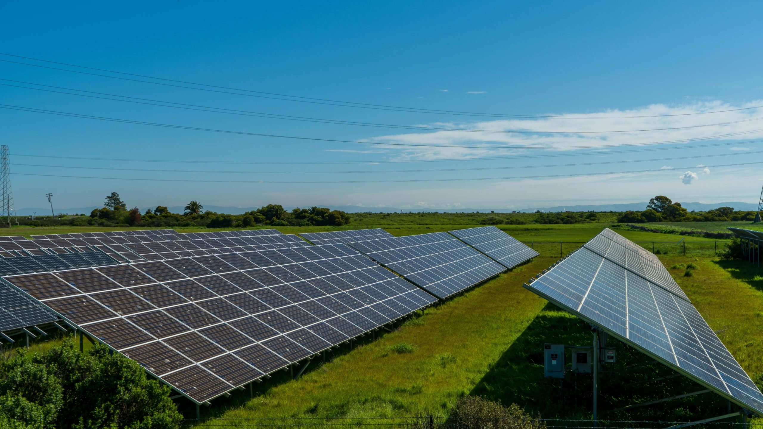 élevage de mouton et panneau solaire